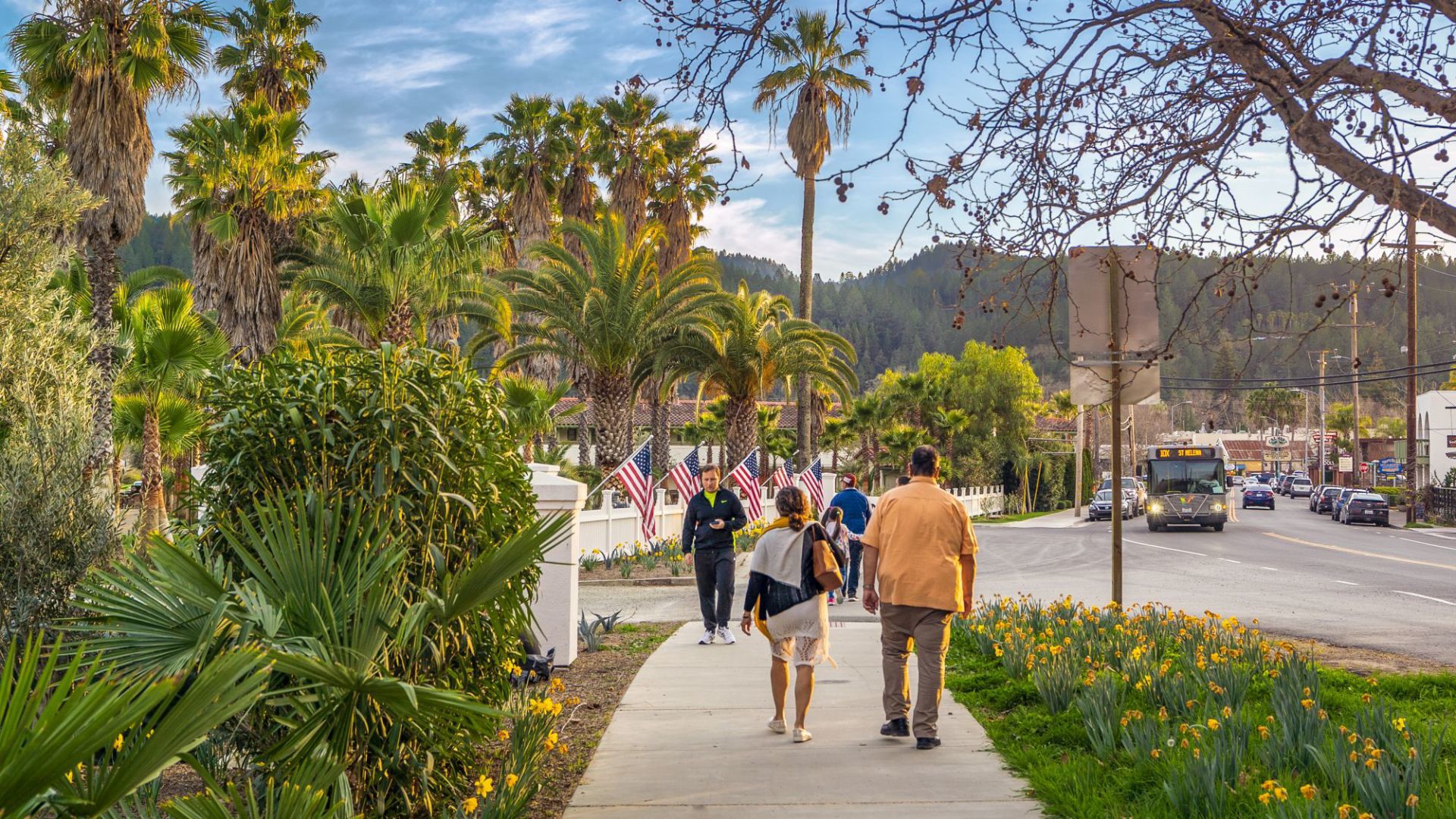 Calistoga spring